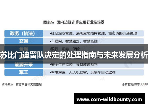 苏比门迪留队决定的处理指南与未来发展分析