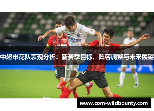 中超申花队表现分析：新赛季目标、阵容调整与未来展望