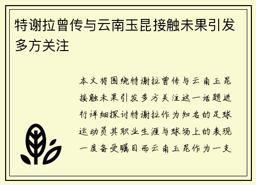 特谢拉曾传与云南玉昆接触未果引发多方关注