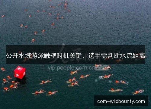 公开水域游泳触壁时机关键，选手需判断水流距离